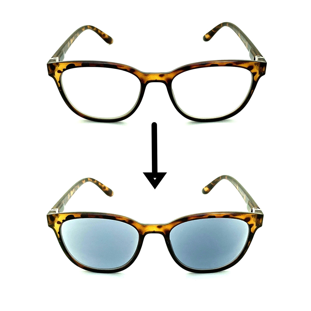 Photochromic Reading Glasses — Troy's Readers