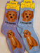 Cockapoo Socks Foozys Unisex Crew Socks 