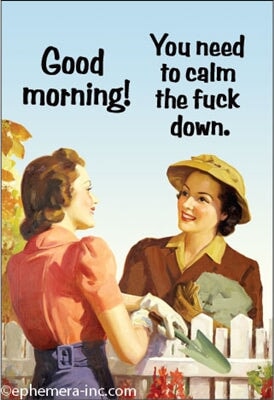 Good morning! You need to calm down. Ephemera Refrigerator Magnet Fridge Magnet 