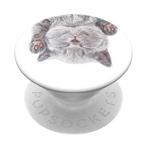 PopSockets Cat Nap Popsockets 