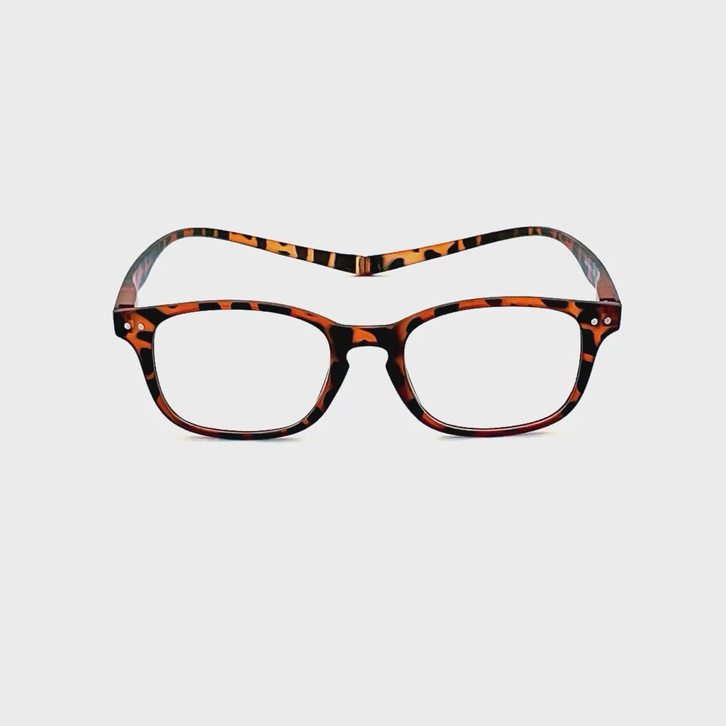 Bring Me The Clams Magnetic Rear Square Keyhole Reader Tortoise Frame