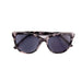 Shut Eye Butterfly Multifocal Reading Sunglasses Multi-focal Progressive Reading Sunglasses 