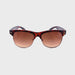 Fly Clubmaster Bifocal Reading Sunglasses Red Tortoise Frame