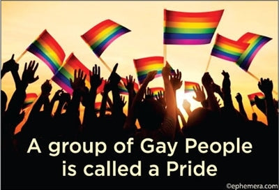 A Group of Gay People IS Called A Pride Ephemera Refrigerator Magnet Fridge Magnet 