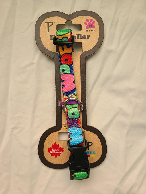 Dog Collar and Leash in Woof Graffiti Dog Collar 