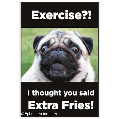 Exercise?! I thought You Said Extra Fries! Ephemera Refrigerator Magnet Fridge Magnet 