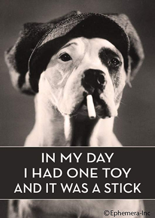 In My Day I Had One Toy And It Was A Stick. Ephemera Refrigerator Magnet Fridge Magnet 
