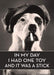In My Day I Had One Toy And It Was A Stick. Ephemera Refrigerator Magnet Fridge Magnet 