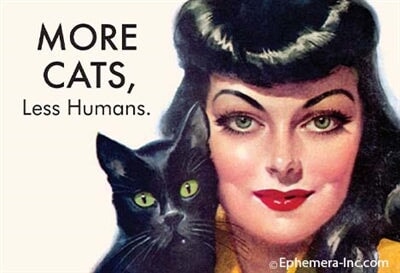 More Cats, Less Humans. Ephemera Refrigerator Magnet Fridge Magnet 