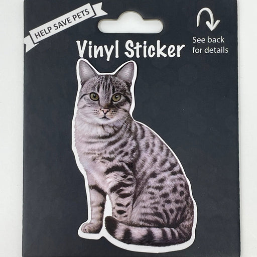 Pet Vinyl Sticker Silver Tabby Cat Sticker 