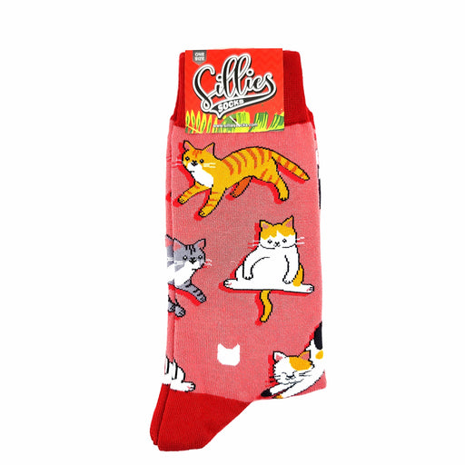 Sillies Socks Playful Cats One Size Fits Most Socks 