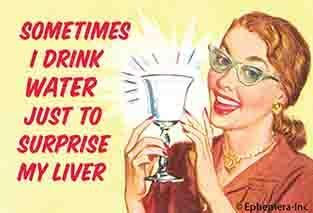 Sometimes I Drink Water To Surprise My Liver Ephemera Refrigerator Magnet Fridge Magnet 