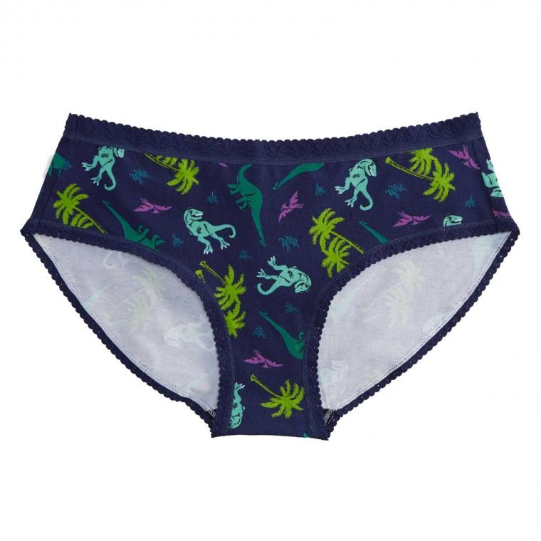Women's Mid-Rise Bikini Underwear Land Of The Dino — Troy's Readers